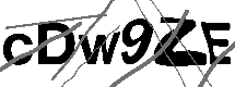 Loading CAPTCHA Image...